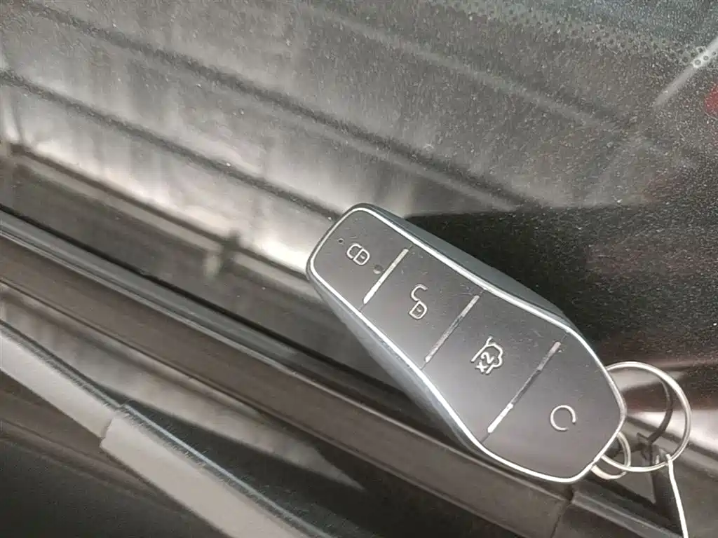 BYD Qin PLUS 2023 Champion Edition DM-i 55KM Leading фото 9