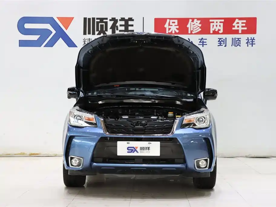 Subaru Forester 2018 2.5i Premium Navigation Edition EyeSight фото 18