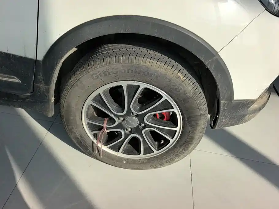 صورة 6 - Haval H1