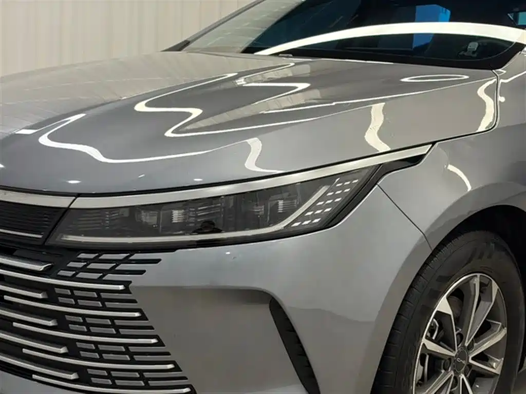 BYD Destroyer 05 2024 Glory Edition DM-i 55KM Luxury фото 10