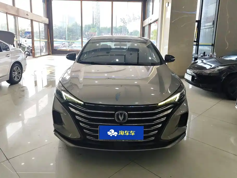 Фото 2 - Changan Eado