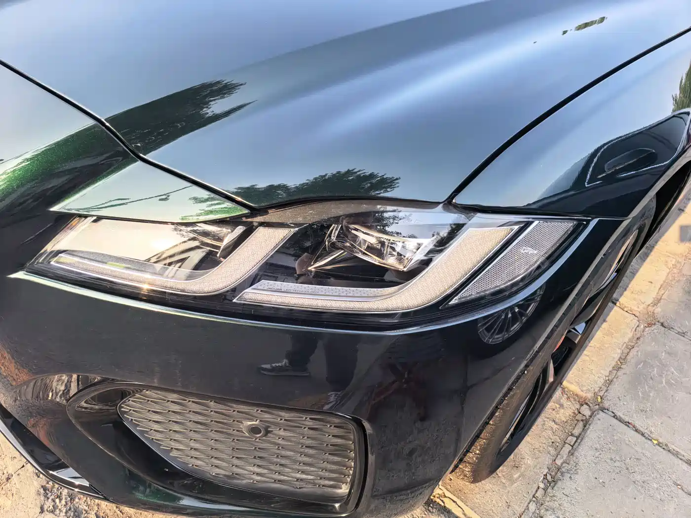 JAGUAR XFL