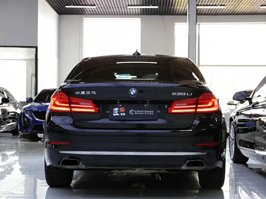 BMW 5 Series 2020 530Li Leading Luxury Package фото 22