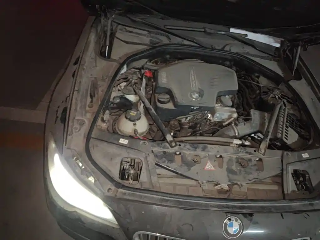 BMW 5 Series 2014 525Li Luxury Design Package фото 23