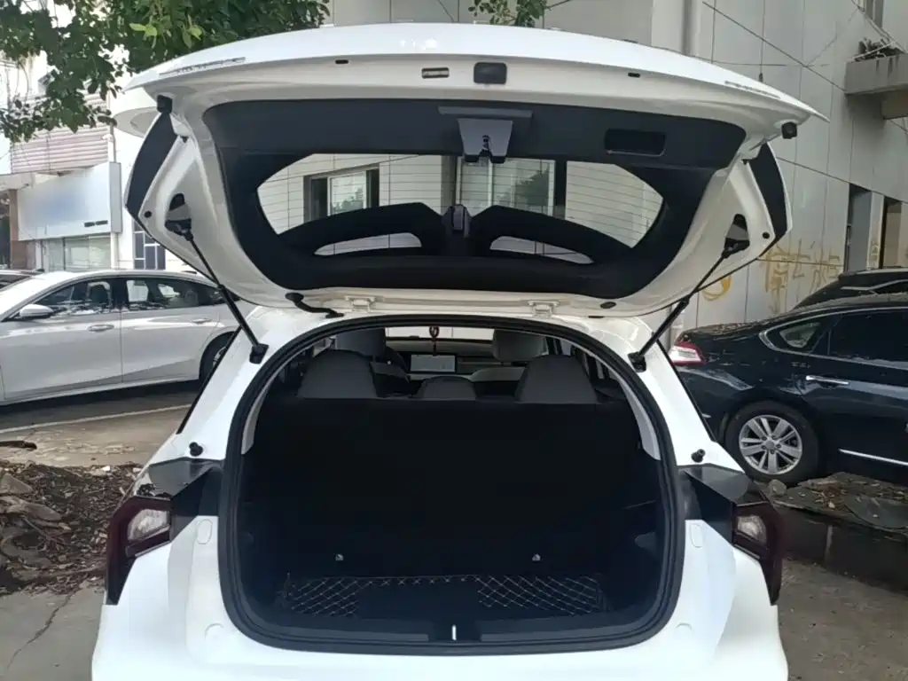 Geely Geometry E Firefly 2024 2024 Model 301km Light Flow