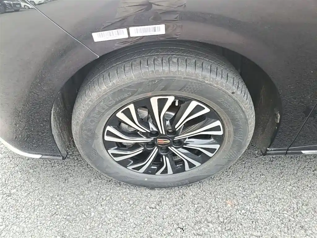 Hongqi HQ9 PHEV 2024 Model 2.0T AWD Business Edition фото 23