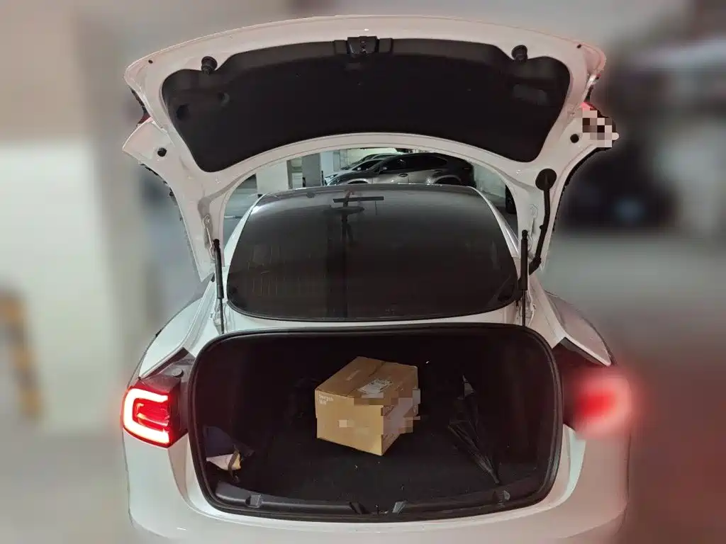 Tesla Model 3 2020 2020 Standard Range Rear-Wheel Drive Upgrade