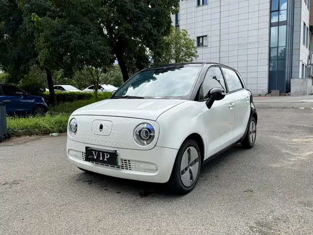 Ora Black Cat 301km, Милый питомец, литий-железо-фосфатный аккумулятор