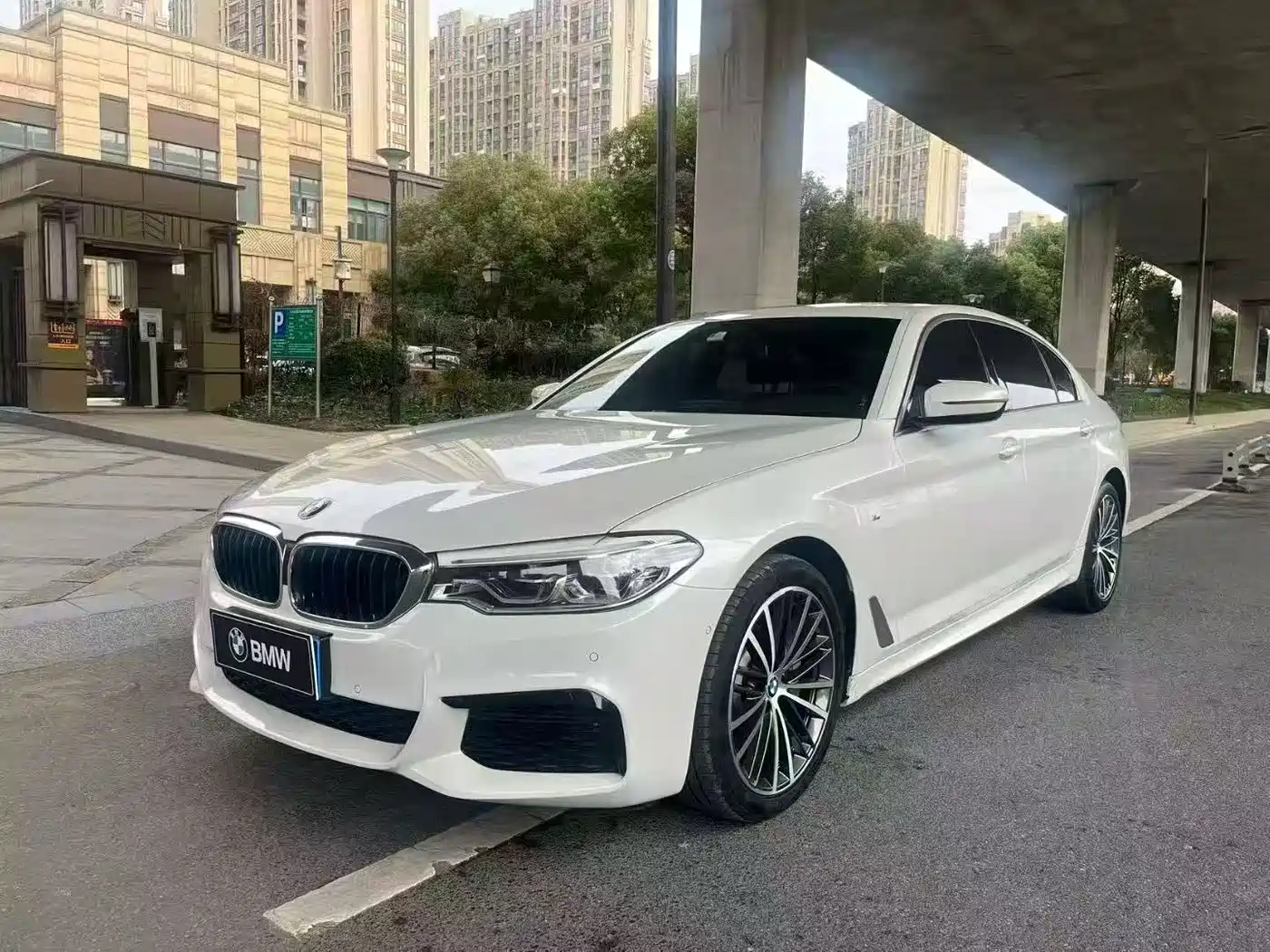 BMW 5 Series 2020 530Li Leading M Sport Package