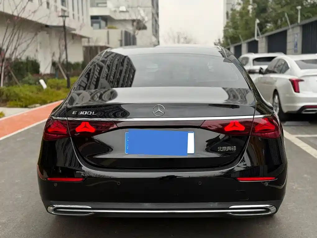 Mercedes-Benz E-Class 2024 Model E 300 L Luxury фото 9