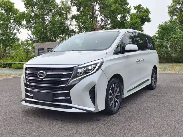 Trumpchi M8 Elegance Series, 390T, Люкс