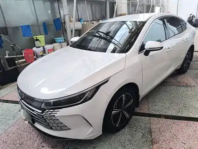 BYD Destroyer 05