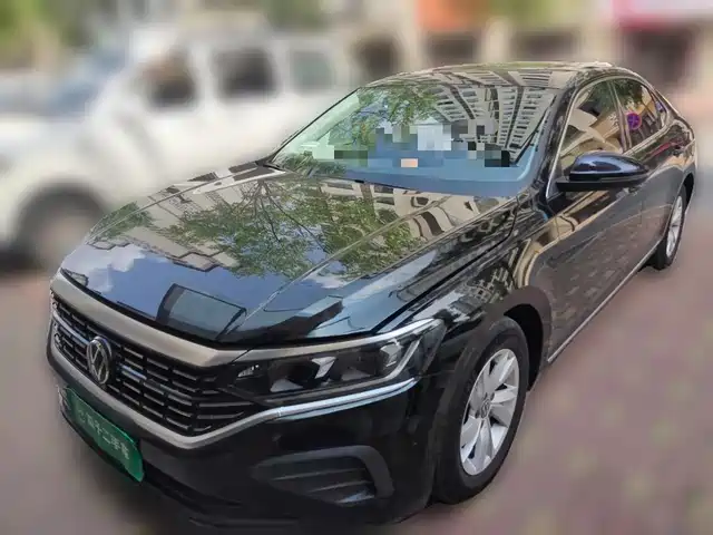 Volkswagen Passat 280TSI, Бизнес