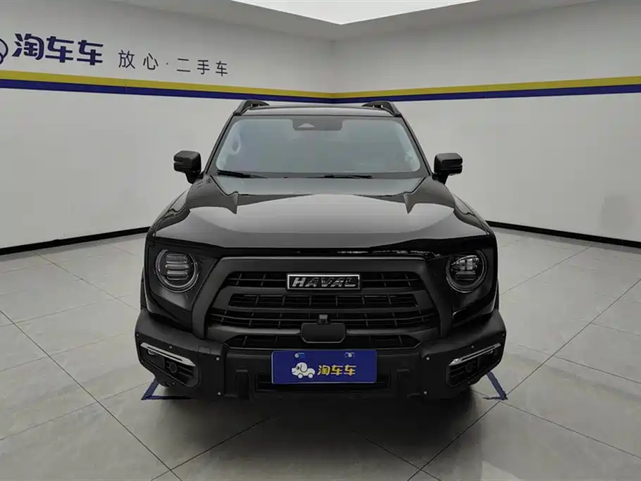 HAVAL BIG DOG