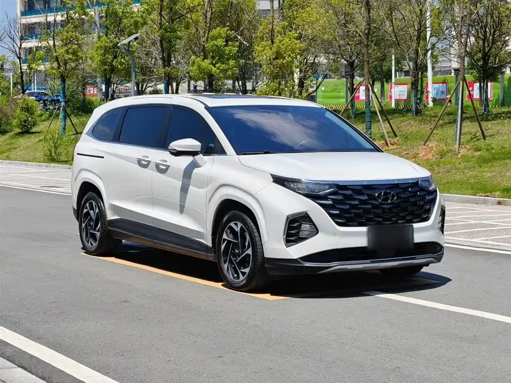 Фото 4 - Hyundai Custo