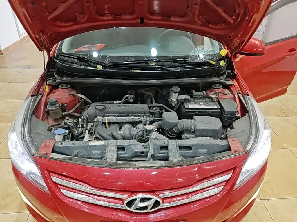 صورة 20 - Hyundai Reina