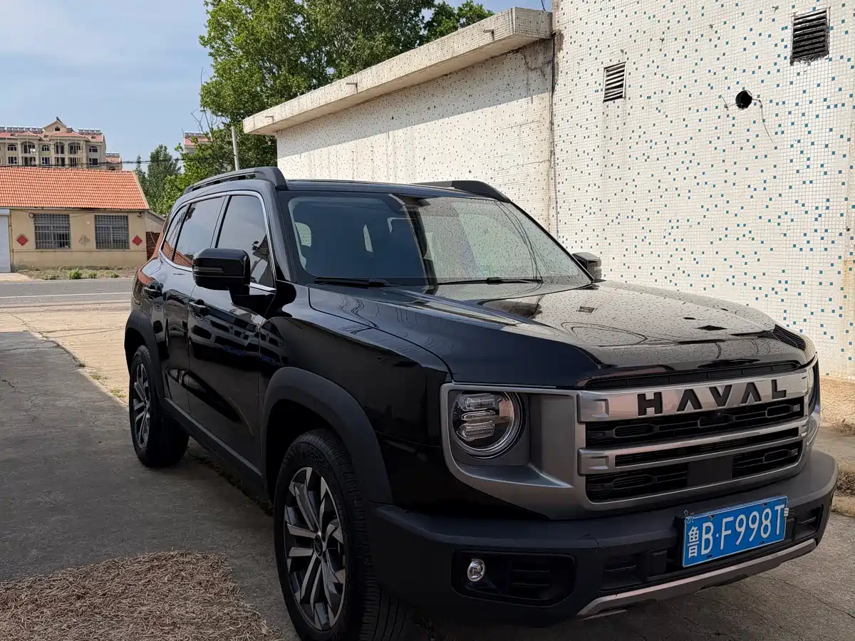 HAVAL BIG DOG