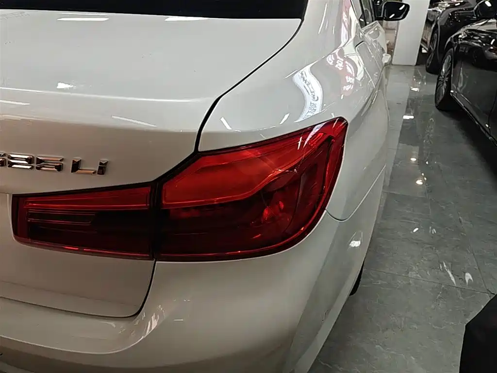 BMW 5 Series 2020 525Li Luxury Package фото 8