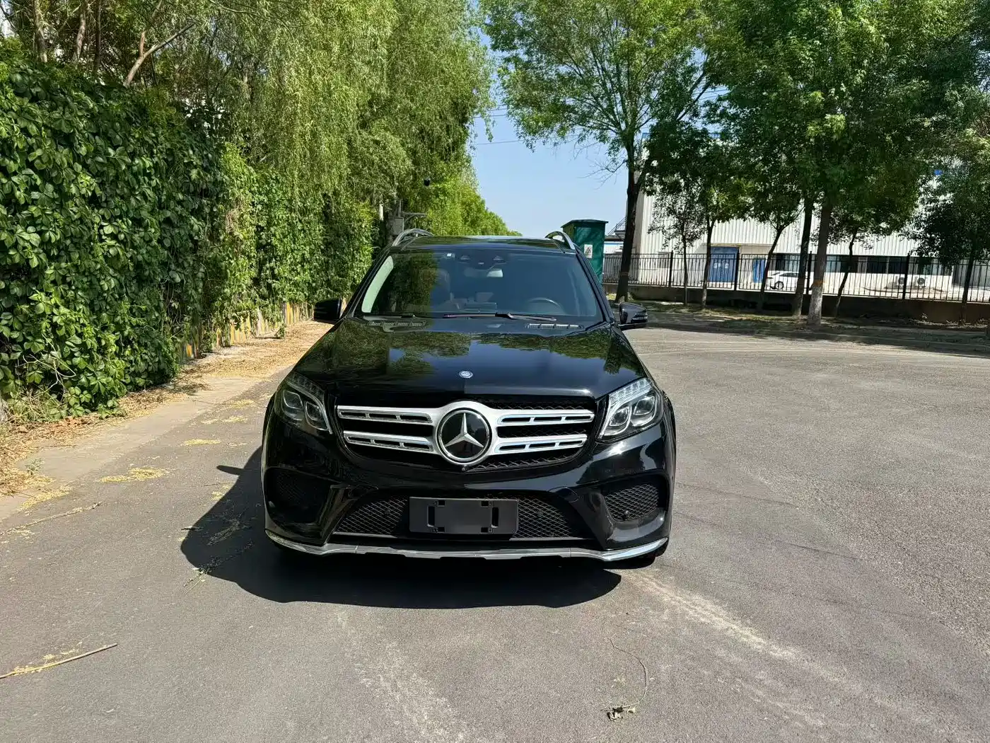 Mercedes-Benz GLS 2016 GLS 500 4MATIC фото 2
