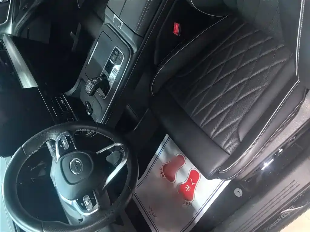GAC Trumpchi Trumpchi GS8 2024 Navigator Series 2.0TGDI 2WD Luxury Smart Connect Edition фото 9