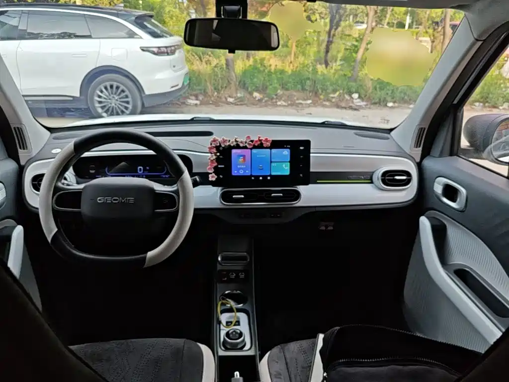 Geely Galaxy Panda 2025 Panda mini 210km Vitality Bear фото 9