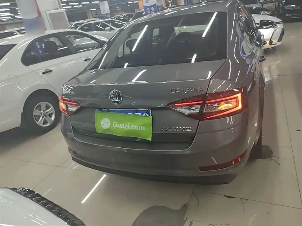 Škoda Octavia 2018 1.6L Automatic Comfort фото 6