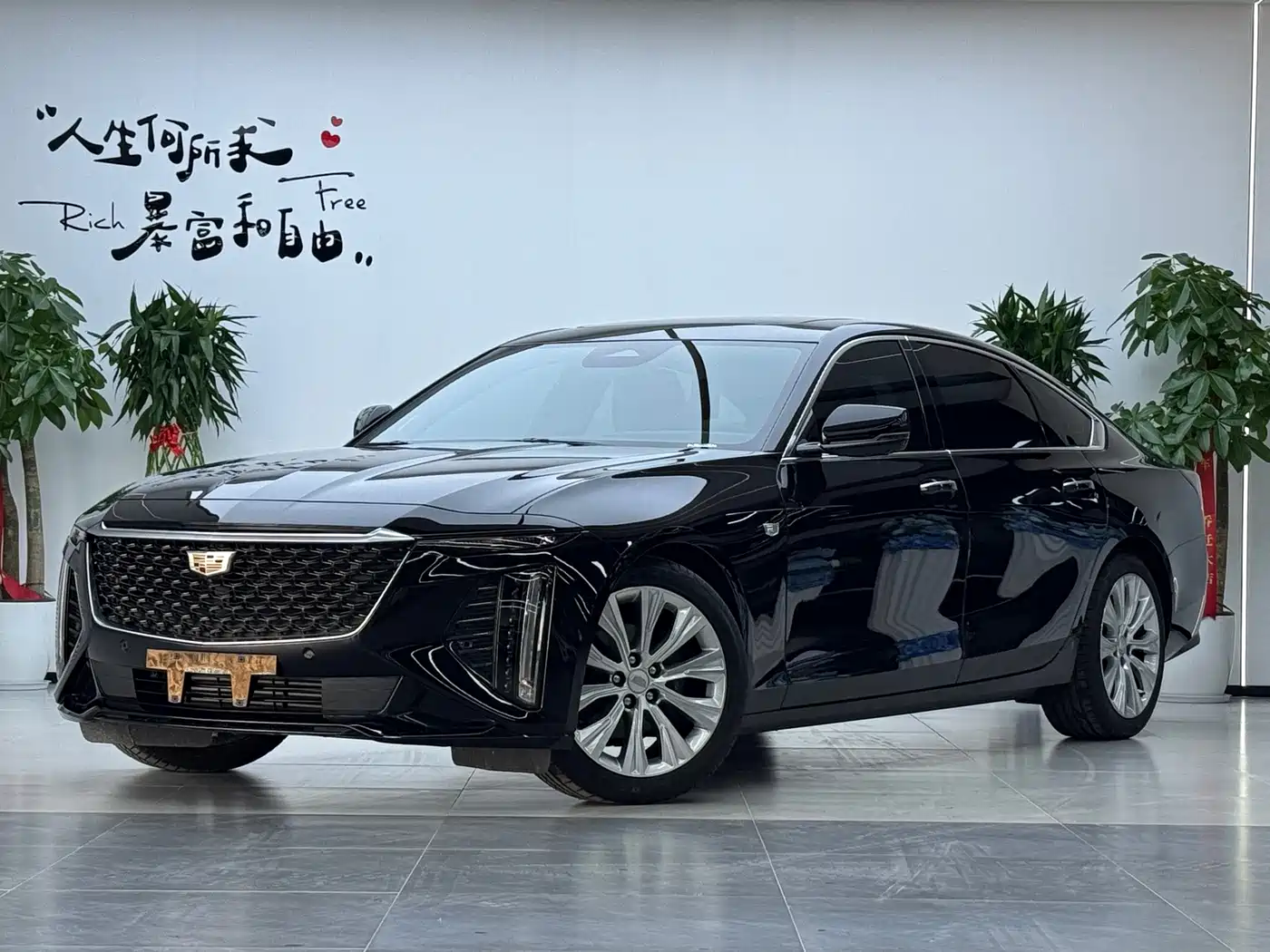 Cadillac CT6 2025 2023 28T Premium Model