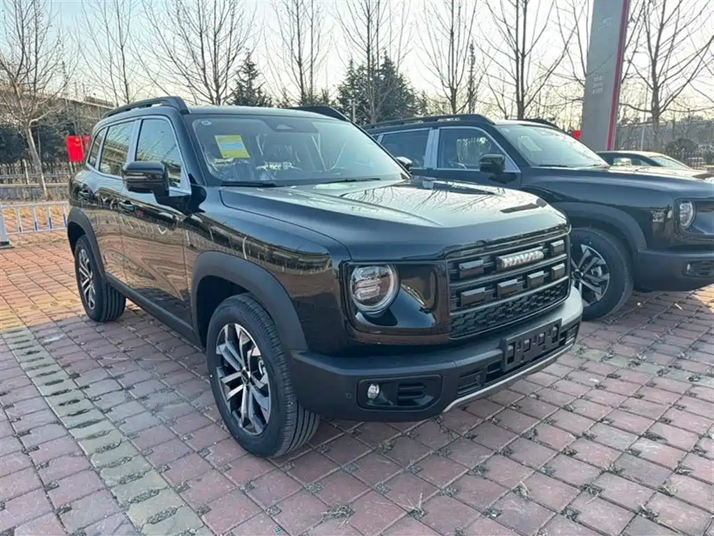 HAVAL BIG DOG