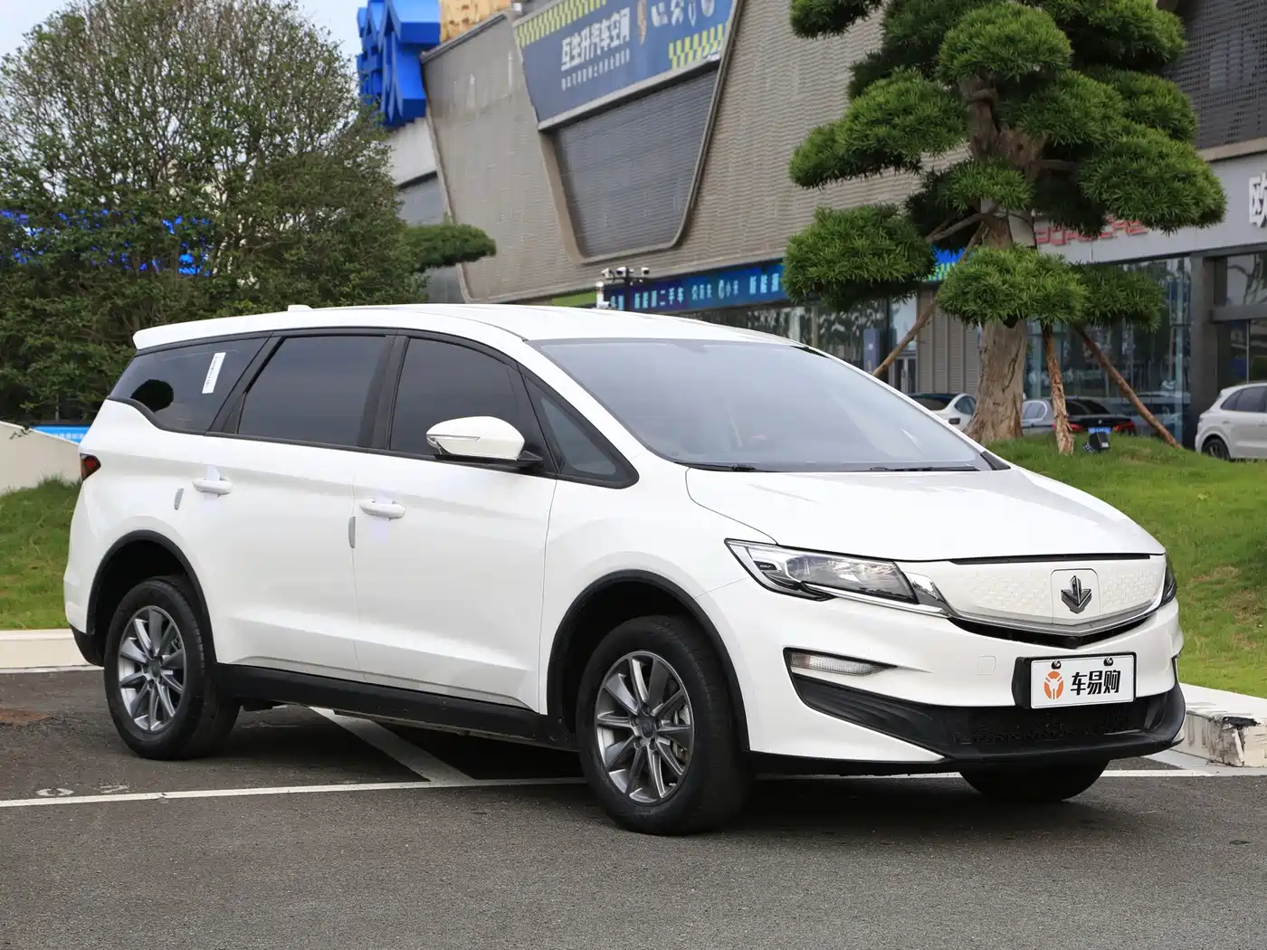 Ruilan Auto Maple 80v 2024 2021 Youxing Edition Ternary Lithium