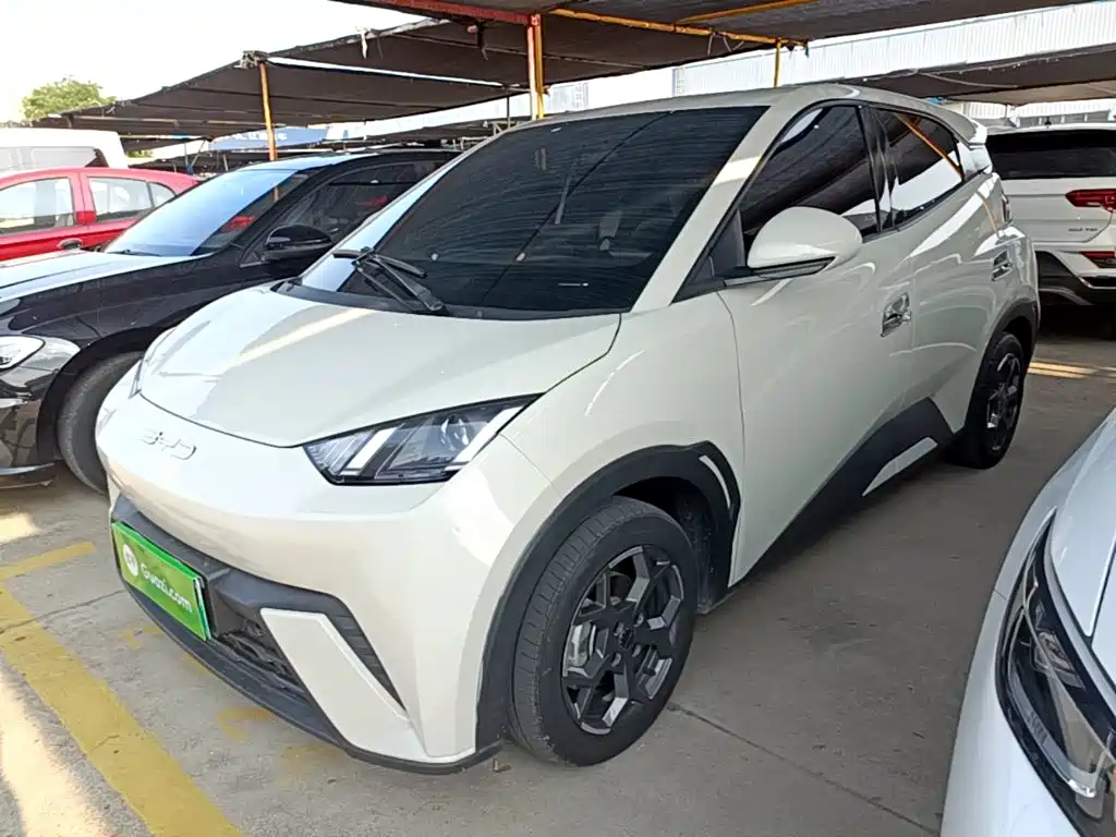 BYD Seagull 2024