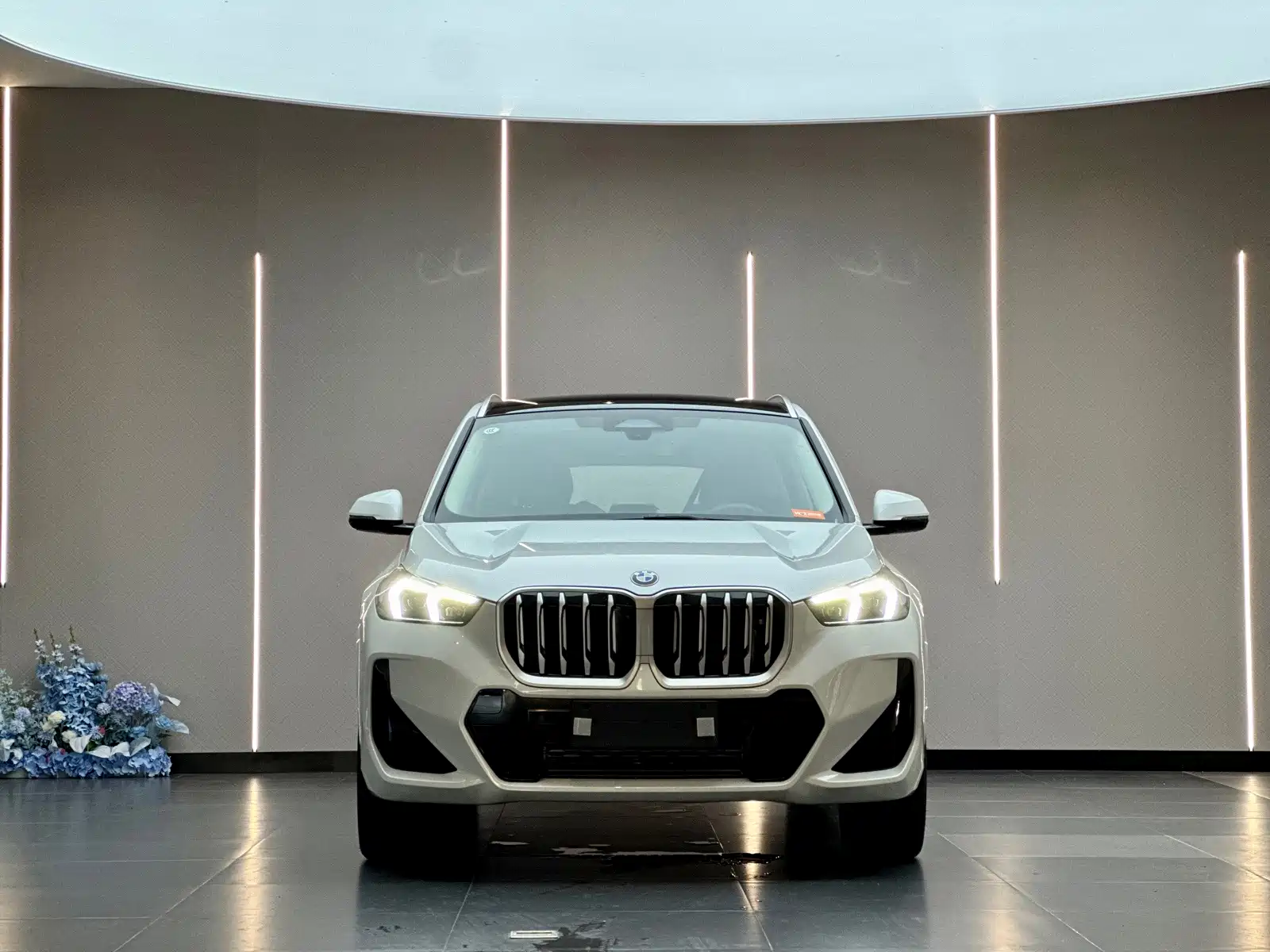 Photo 2 - BMW X1