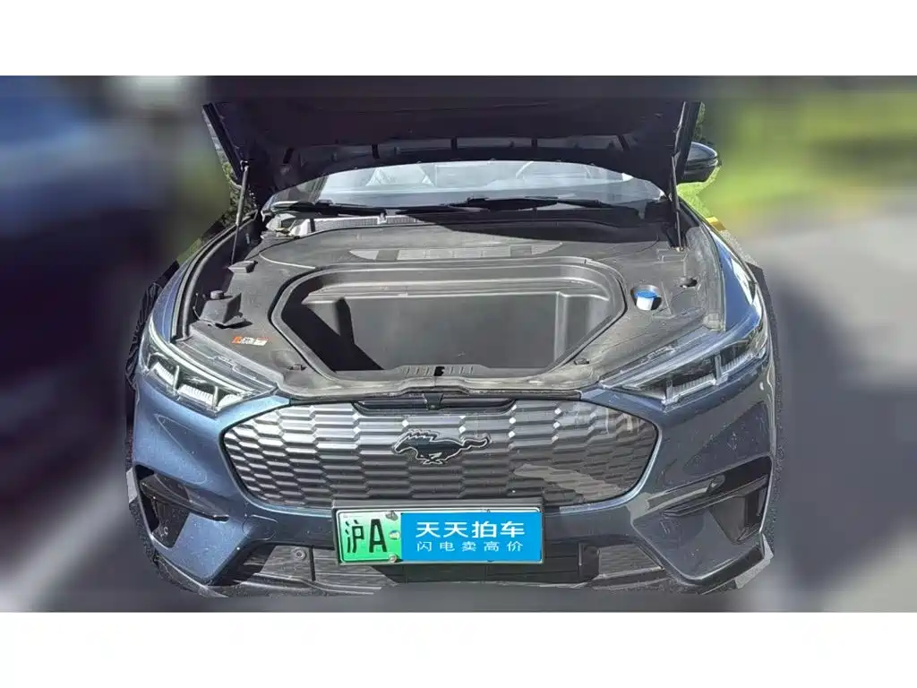 Ford Mustang Mach-E 2023 2021 Boundless RWD Luxury (Long Range)