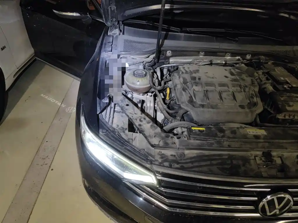 Volkswagen Magotan 2020 330TSI DSG Luxury фото 21