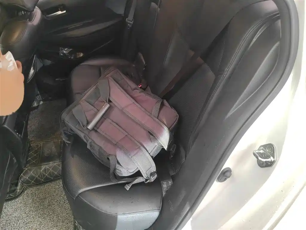 Toyota Corolla 2021 1.2T S-CVT Pioneer Edition фото 15