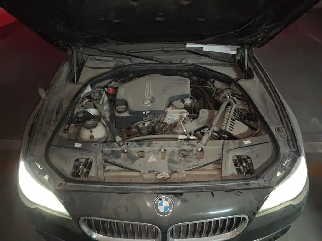 BMW 5 Series 2014 525Li Luxury Design Package фото 17