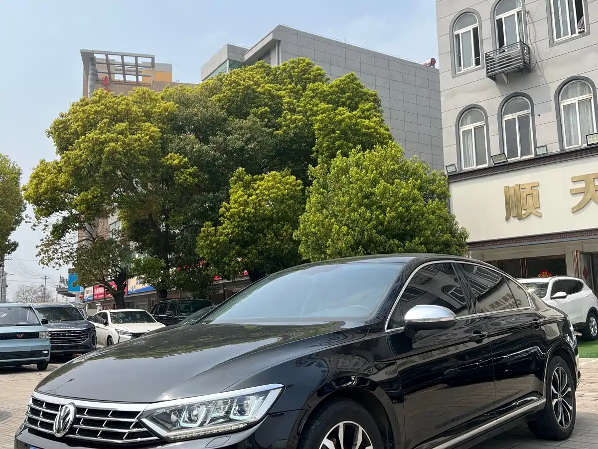 Volkswagen Magotan 2019 330TSI DSG Luxury Class China VI