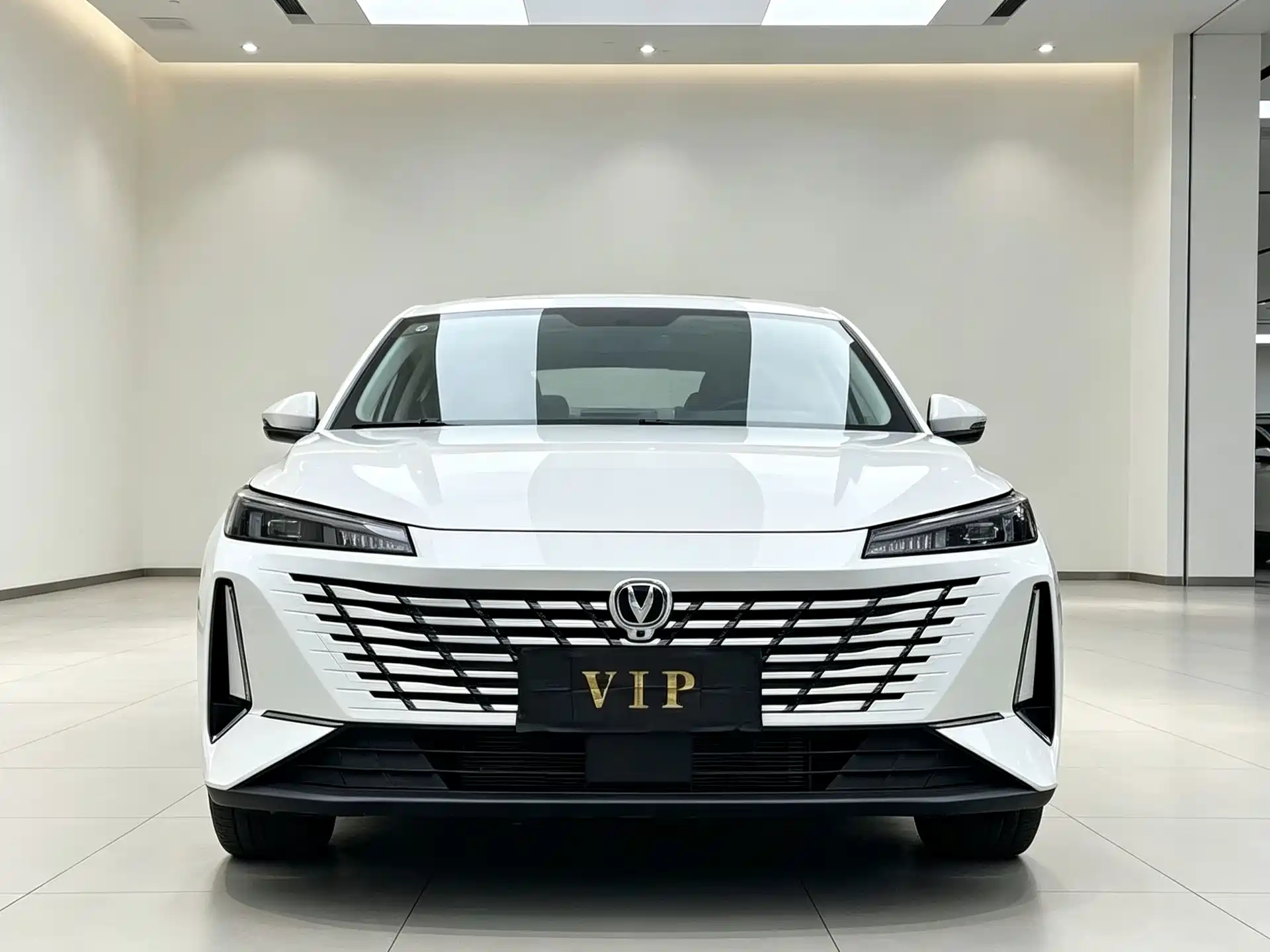 Photo 2 - Changan Eado