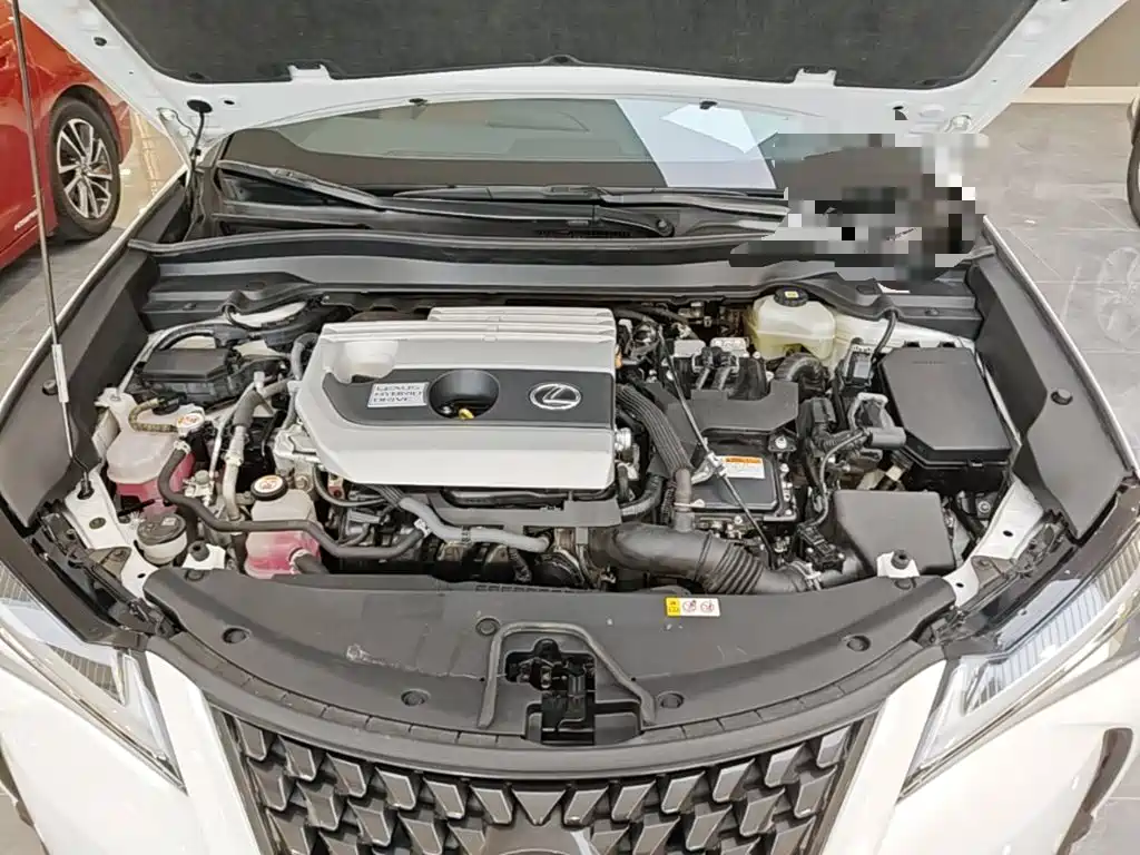 Lexus UX 2021 2020 260h Explore Cool Edition