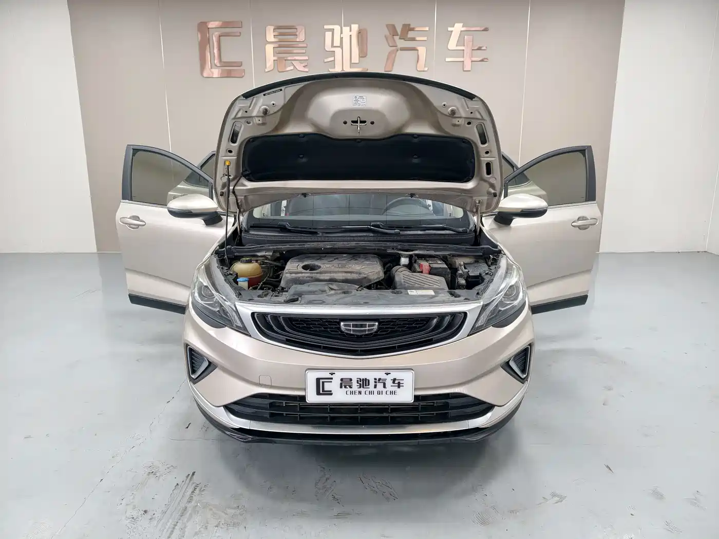 Geely Emgrand GS 2020 2020 1.4T CVT Elegance