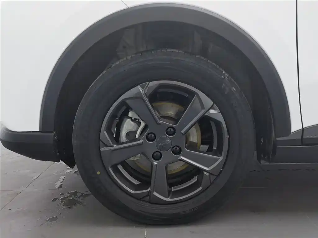 GEELY GEOMETRY E FIREFLY