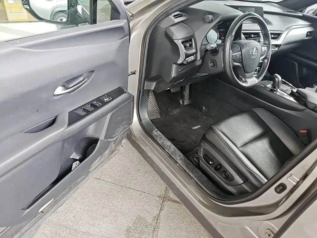 Lexus UX Electric 2021 2020 300e Pure Yue Edition