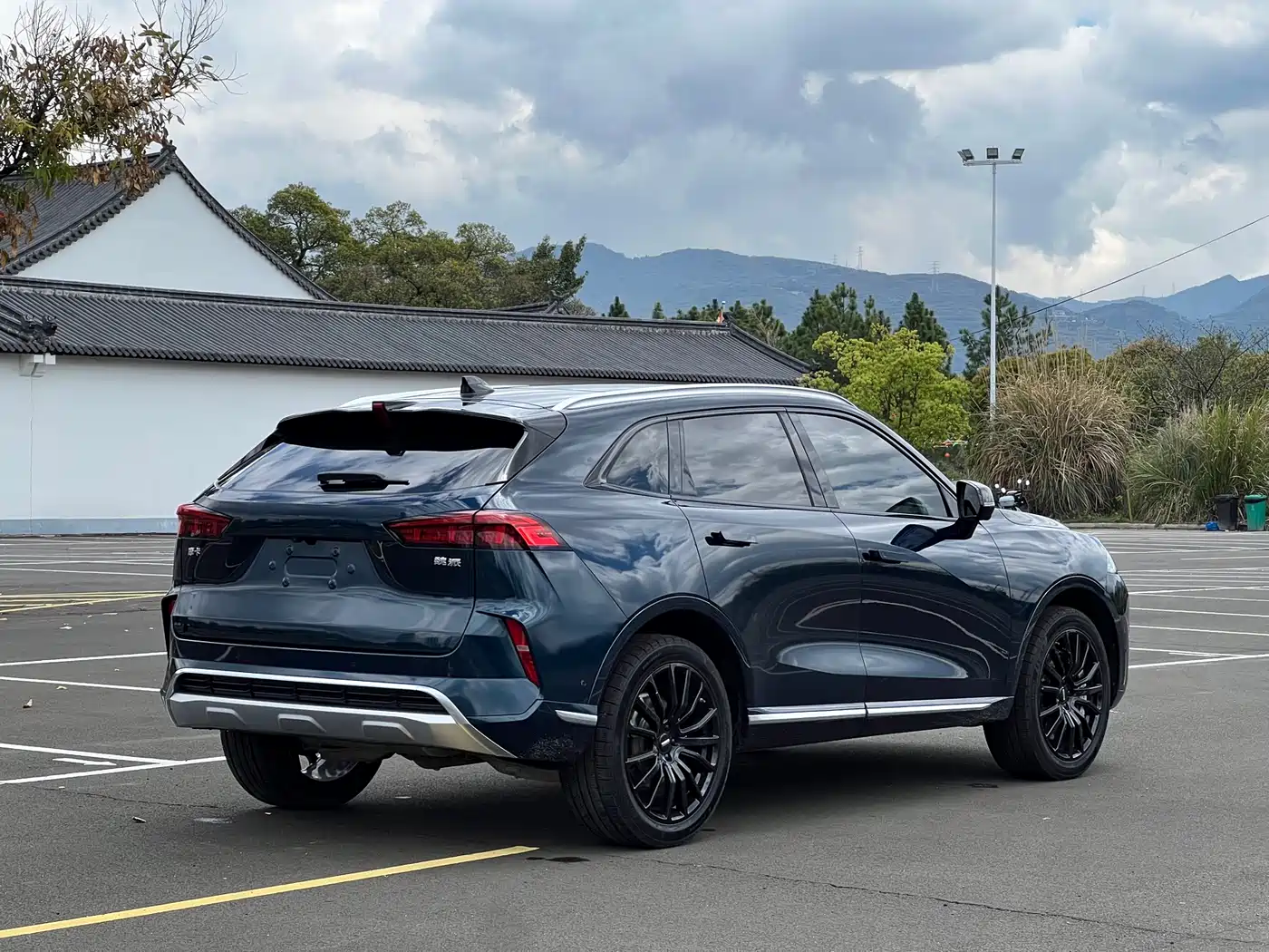 WEI PAI WEI BRAND MOCHA