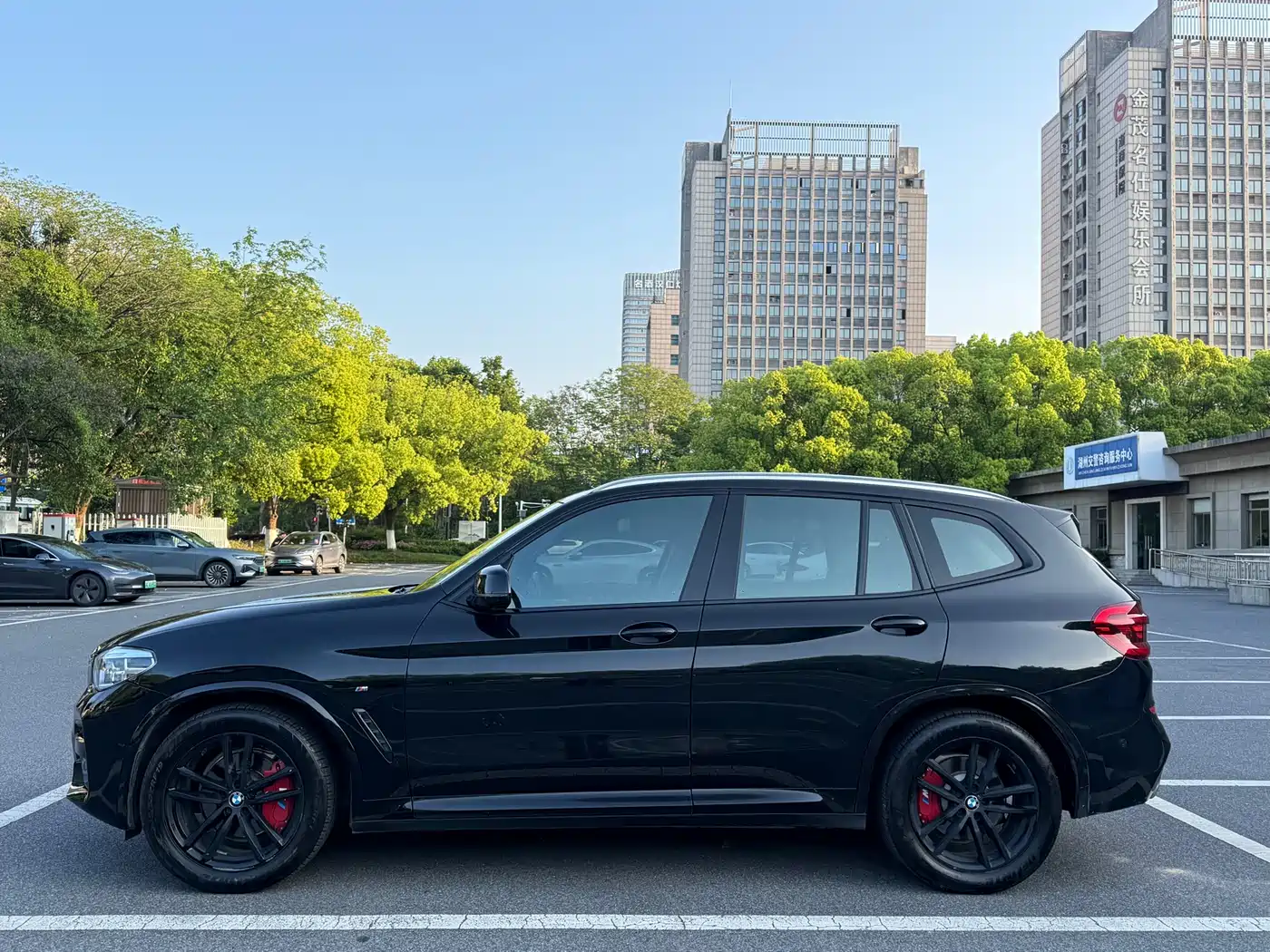 BMW X3 2018 xDrive25i M Sport Package China VI фото 4