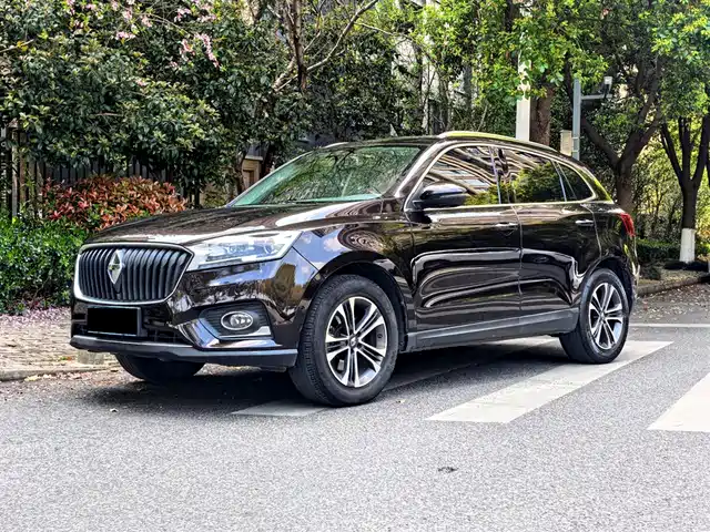 BORGWARD BAOWO BX7