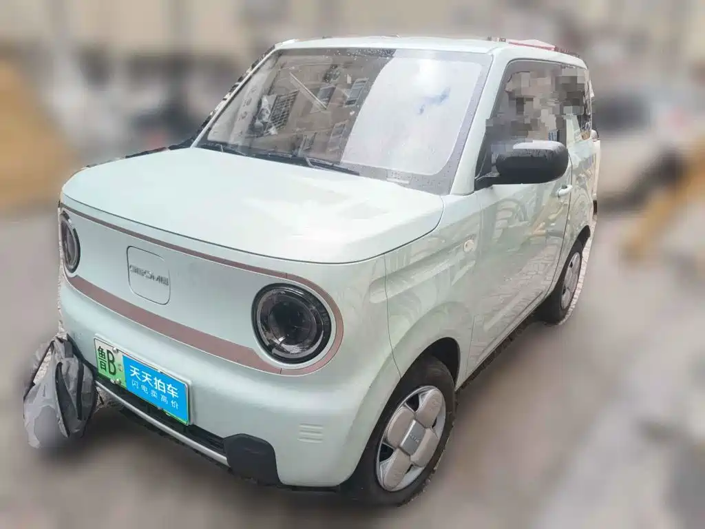 Фото 1 - Geely Galaxy Panda