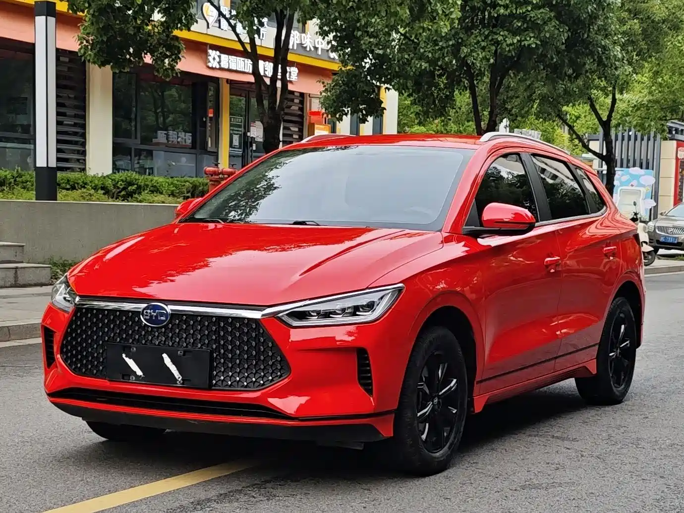 BYD e2 2020 Upgraded Long Range Luxury