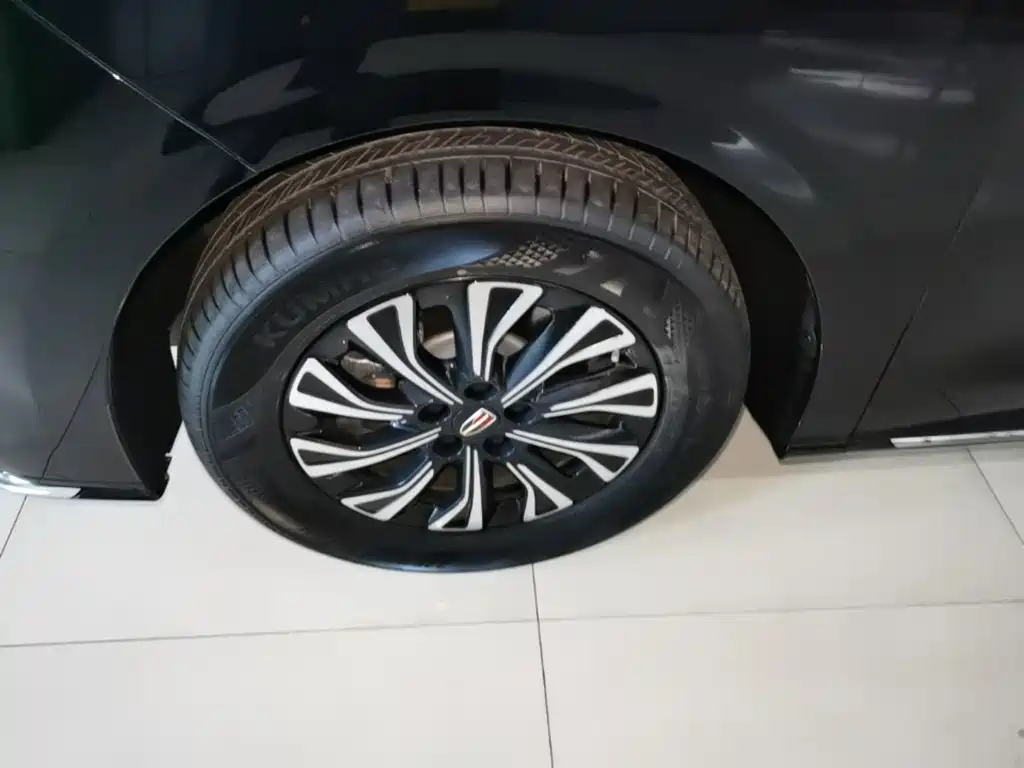 Hongqi HQ9 PHEV 2025 2024 Model 2.0T AWD Business Edition