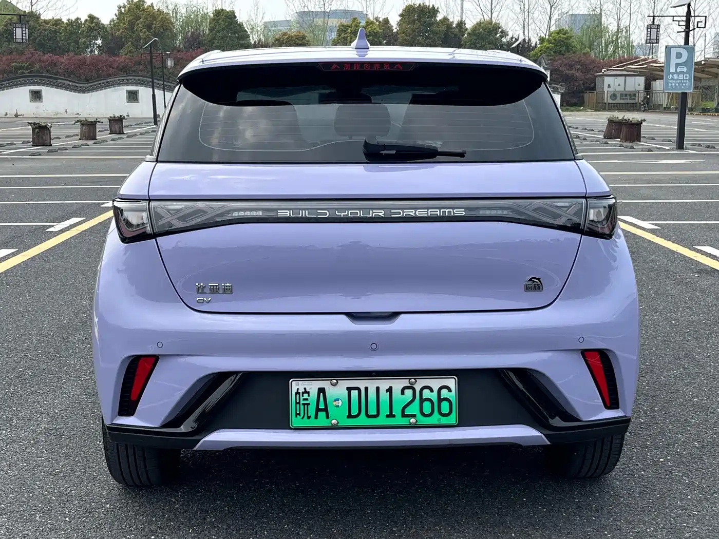 BYD DOLPHIN