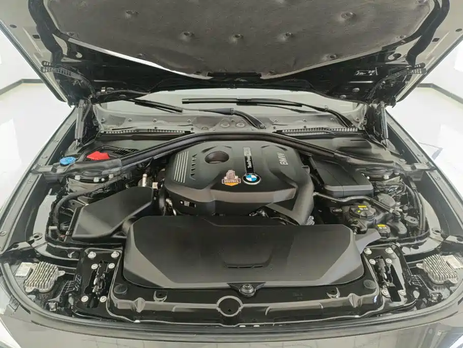 BMW 3 Series GT 2021 2020 320i M Sport Black Night Edition