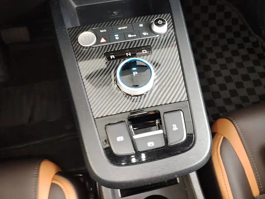 BYD e2 2021 2020 Upgraded Long Range Luxury